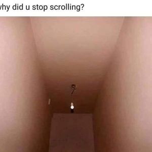 Meet your Posher, Sean